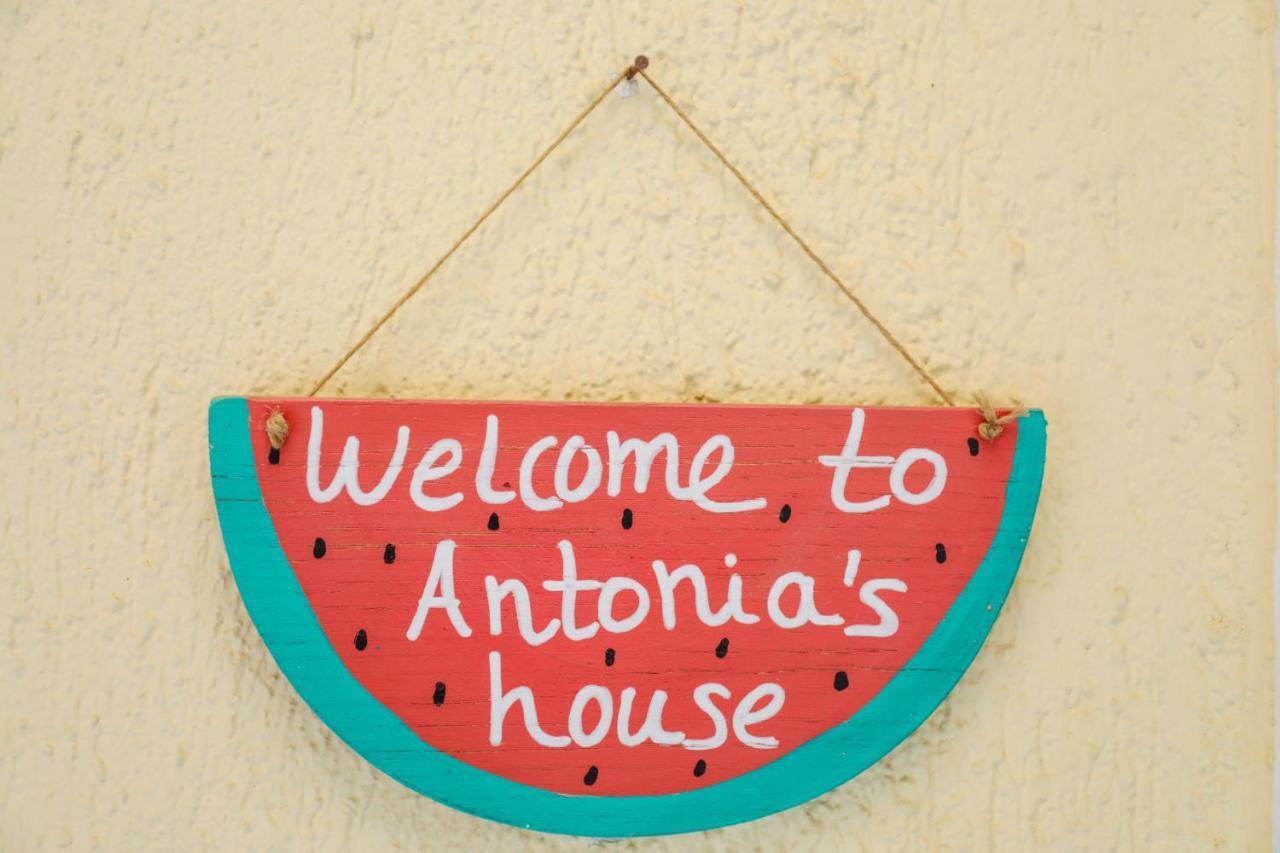 Antonia House Apartman Szkiáthosz Kültér fotó